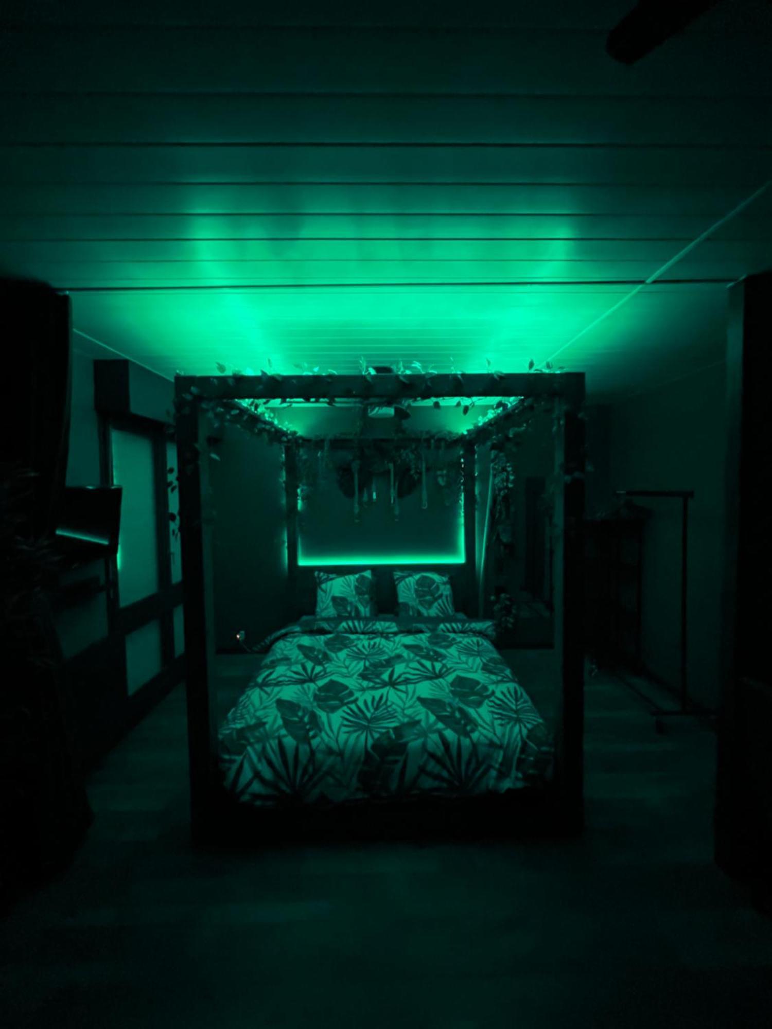 Oasis Tropical & Sauna Apartment